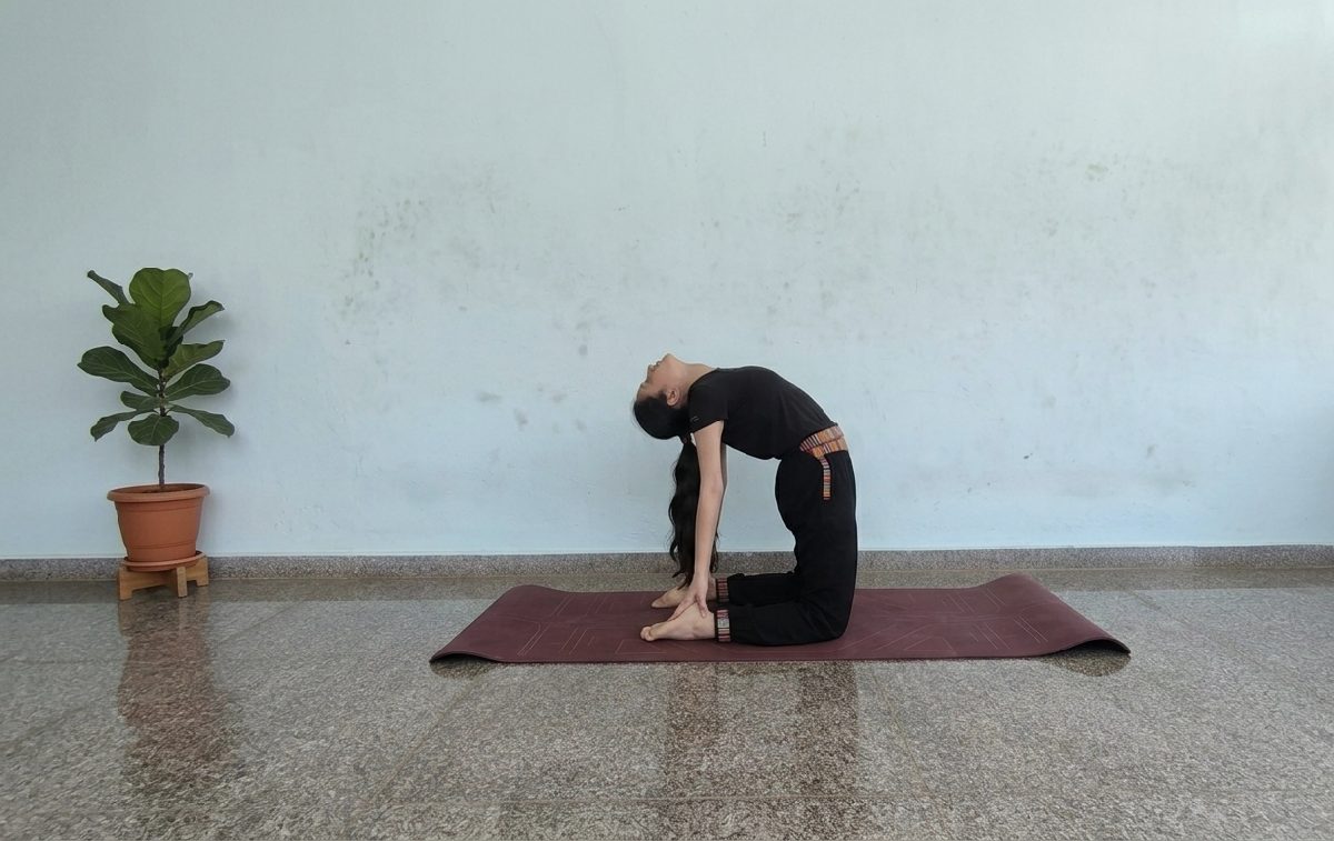 Vandana Sharma, Yoga Teacher
