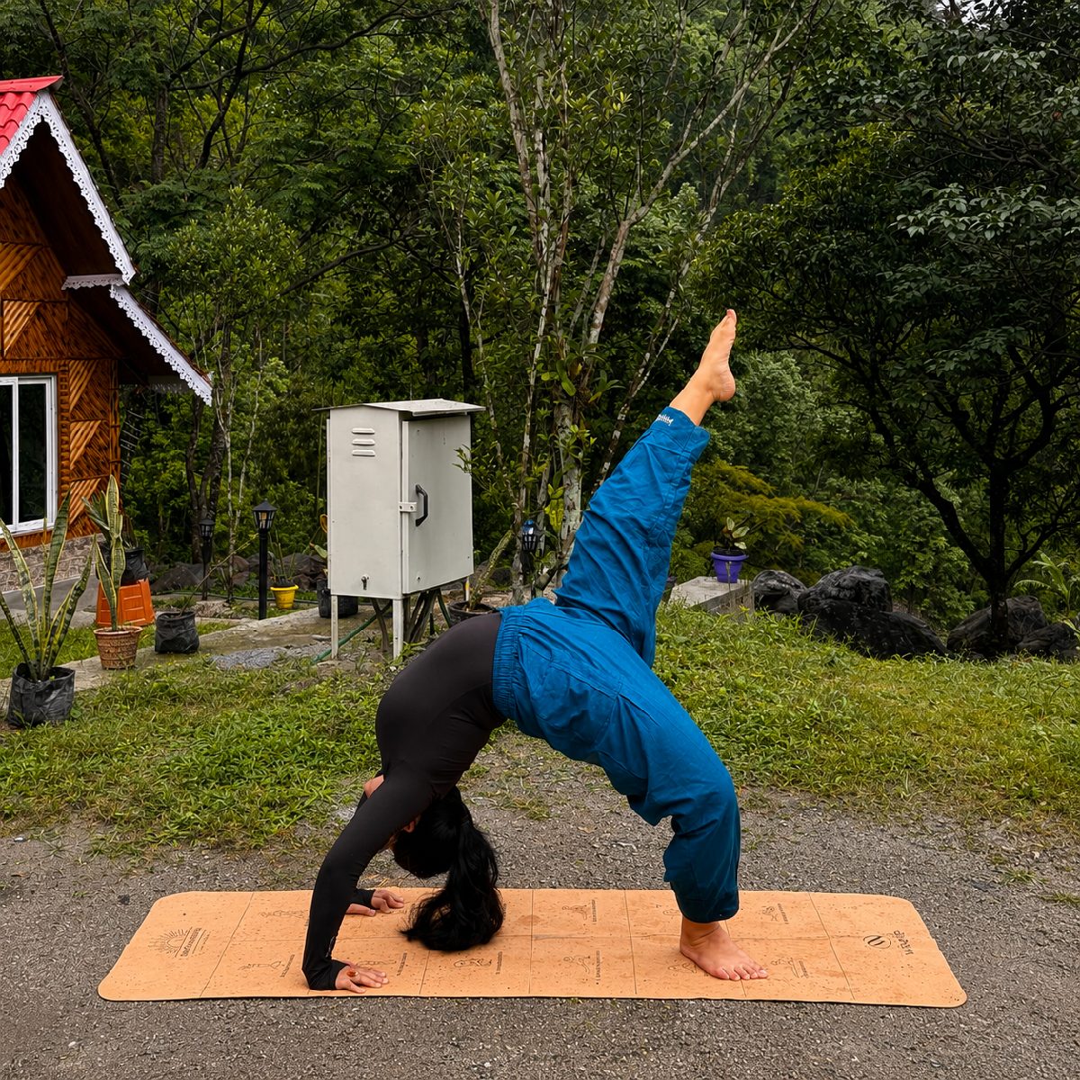 Aaindrila dey, Yoga Teacher