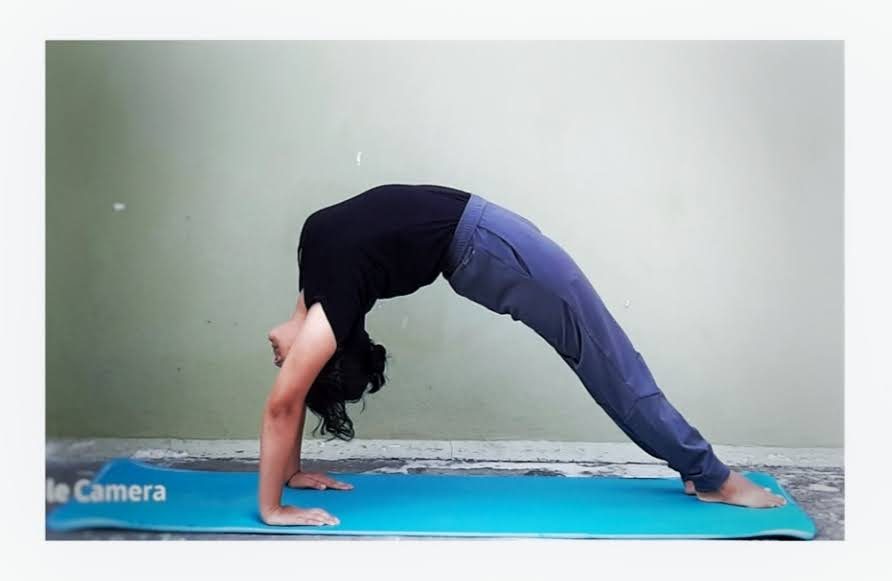 TANUJA MEHRA, Yoga Teacher